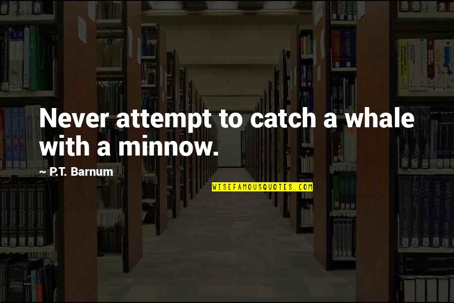 Minnow Quotes By P.T. Barnum: Never attempt to catch a whale with a Minnow Quotes By P.T. Barnum: Never attempt to catch a whale with a