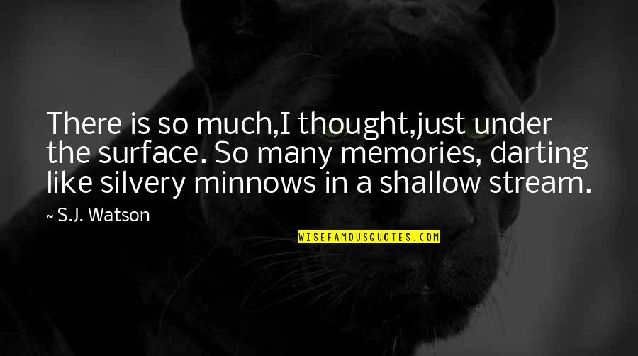Minnows Quotes By S.J. Watson: There is so much,I thought,just under the surface.