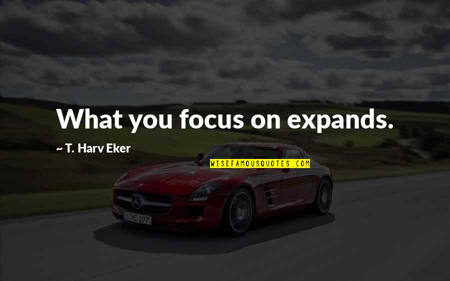 Minolia Quotes By T. Harv Eker: What you focus on expands.