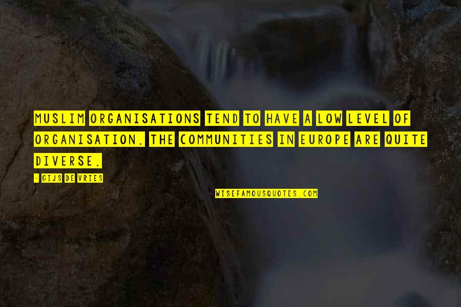 Minoranze Linguistiche Quotes By Gijs De Vries: Muslim organisations tend to have a low level Minoranze Linguistiche Quotes By Gijs De Vries: Muslim organisations tend to have a low level