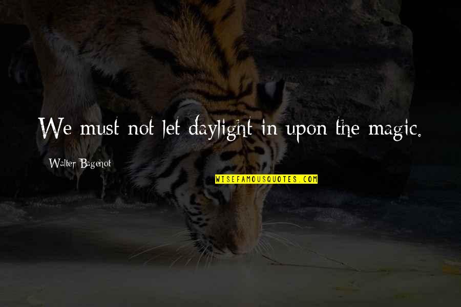 Minore Futute Quotes By Walter Bagehot: We must not let daylight in upon the