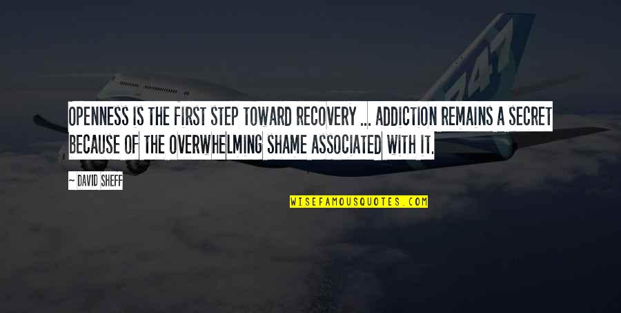 Minores Meats Quotes By David Sheff: Openness is the first step toward recovery ... Minores Meats Quotes By David Sheff: Openness is the first step toward recovery ...