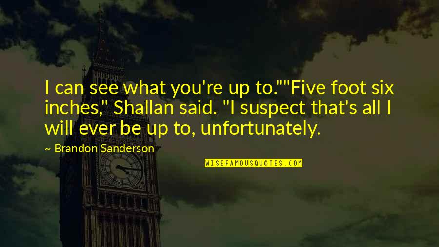 Minoritas Dan Quotes By Brandon Sanderson: I can see what you're up to.""Five foot Minoritas Dan Quotes By Brandon Sanderson: I can see what you're up to.""Five foot