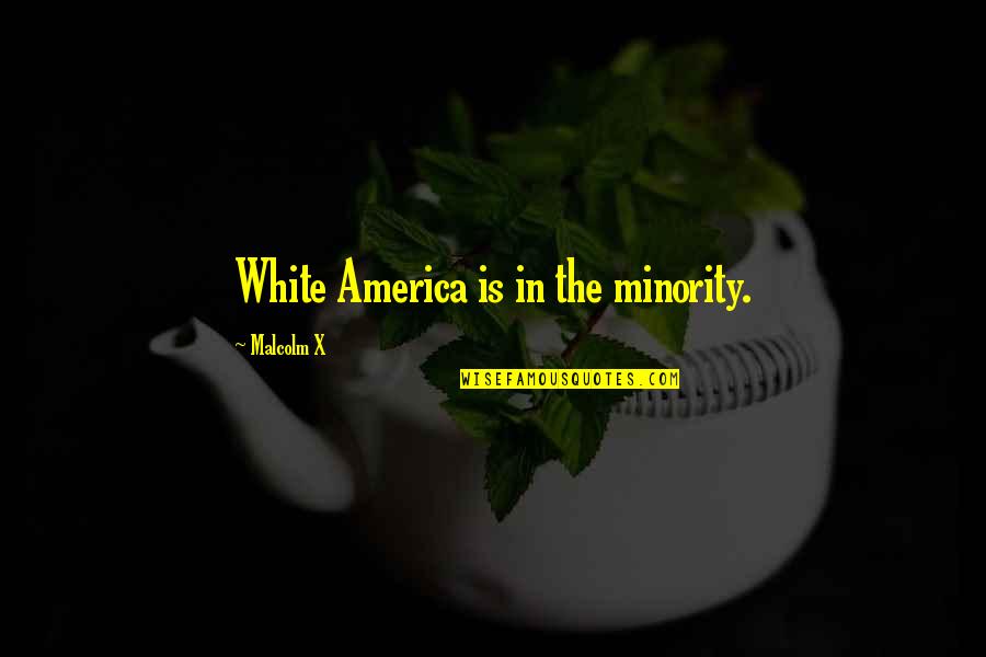 Minority's Quotes By Malcolm X: White America is in the minority.