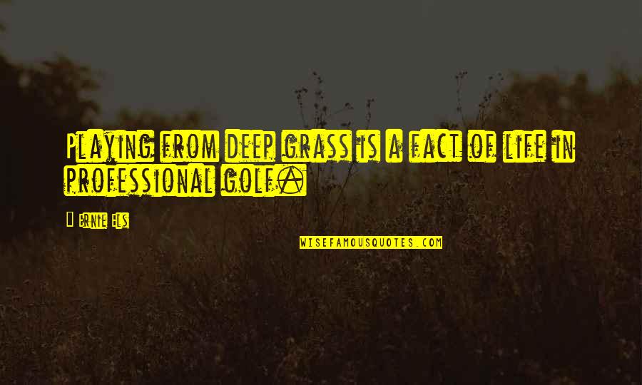 Minoza Shkodra Quotes By Ernie Els: Playing from deep grass is a fact of