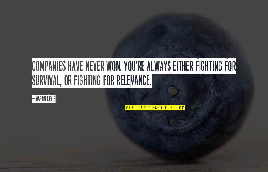 Minstead Quotes By Aaron Levie: Companies have never won. You're always either fighting