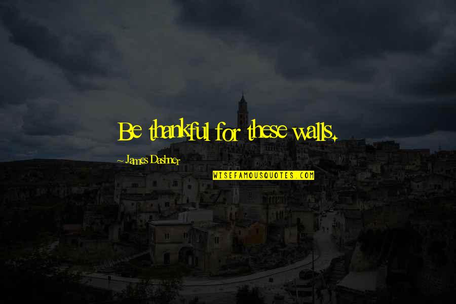 Mint Juleps Quotes By James Dashner: Be thankful for these walls. Mint Juleps Quotes By James Dashner: Be thankful for these walls.