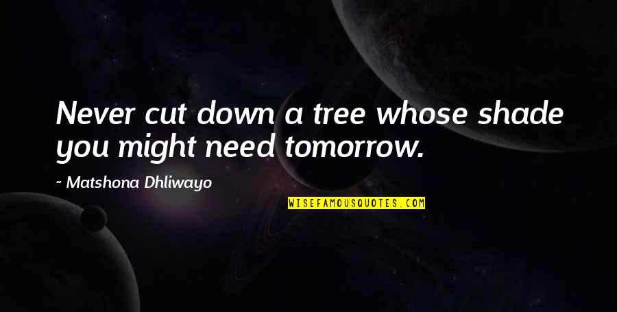Minutiae Crossword Quotes By Matshona Dhliwayo: Never cut down a tree whose shade you Minutiae Crossword Quotes By Matshona Dhliwayo: Never cut down a tree whose shade you