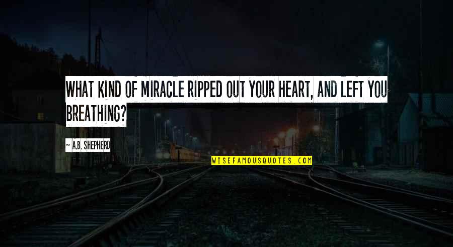 Miracle And Life Quotes By A.B. Shepherd: What kind of miracle ripped out your heart,