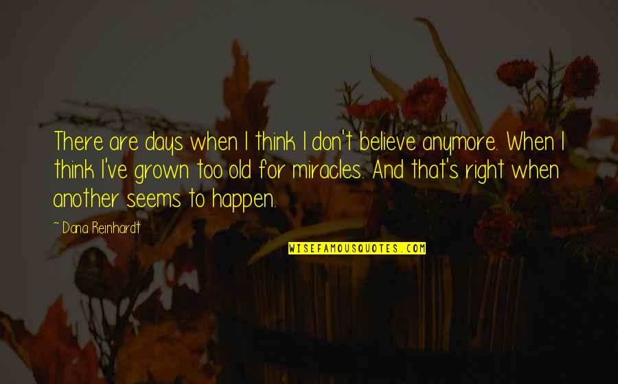 Miracles Happen Quotes By Dana Reinhardt: There are days when I think I don't