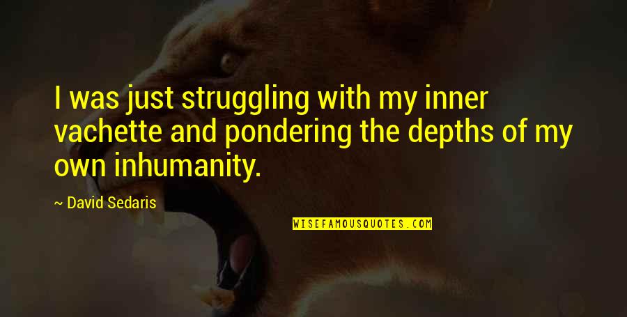 Mirajane Strauss Quotes By David Sedaris: I was just struggling with my inner vachette Mirajane Strauss Quotes By David Sedaris: I was just struggling with my inner vachette
