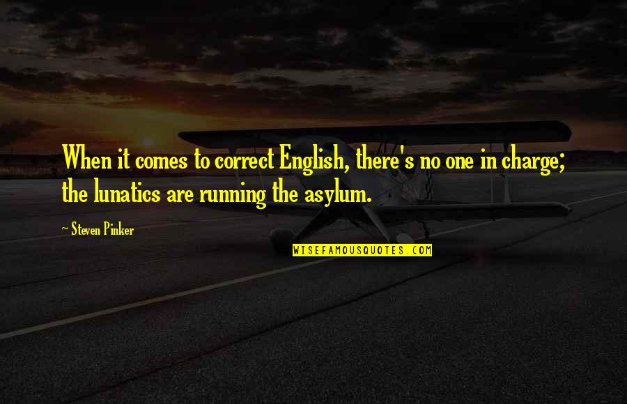 Mirando Al Cielo Quotes By Steven Pinker: When it comes to correct English, there's no Mirando Al Cielo Quotes By Steven Pinker: When it comes to correct English, there's no