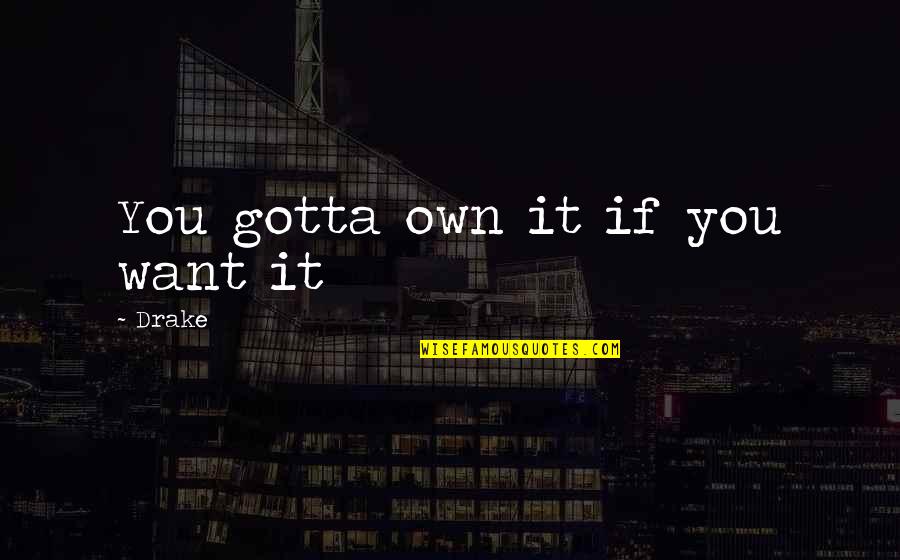 Mirandola Quotes By Drake: You gotta own it if you want it Mirandola Quotes By Drake: You gotta own it if you want it