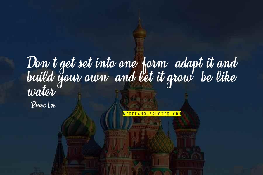 Mirchandani Partners Quotes By Bruce Lee: Don't get set into one form, adapt it Mirchandani Partners Quotes By Bruce Lee: Don't get set into one form, adapt it