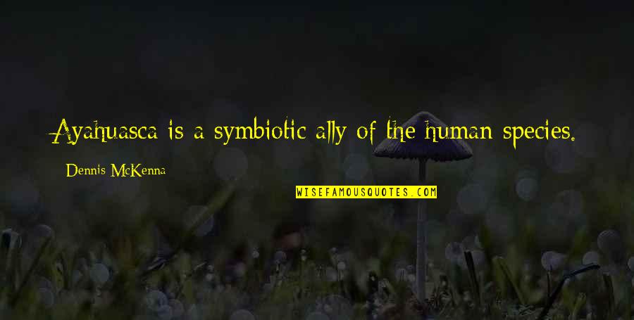 Miriade Borse Quotes By Dennis McKenna: Ayahuasca is a symbiotic ally of the human