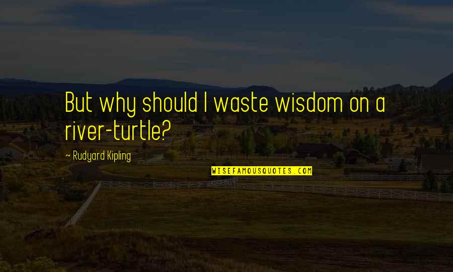 Miriam Defensor Famous Quotes By Rudyard Kipling: But why should I waste wisdom on a