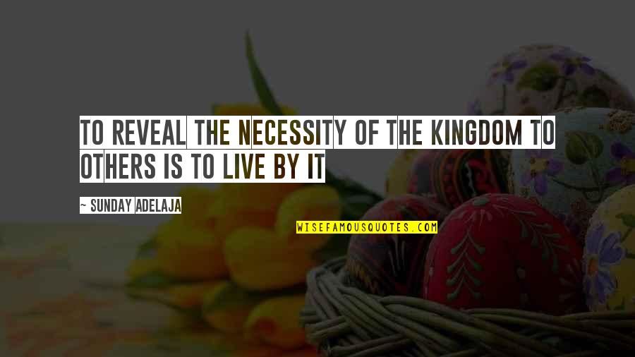 Mirikitani Recipe Quotes By Sunday Adelaja: To reveal the necessity of the kingdom to