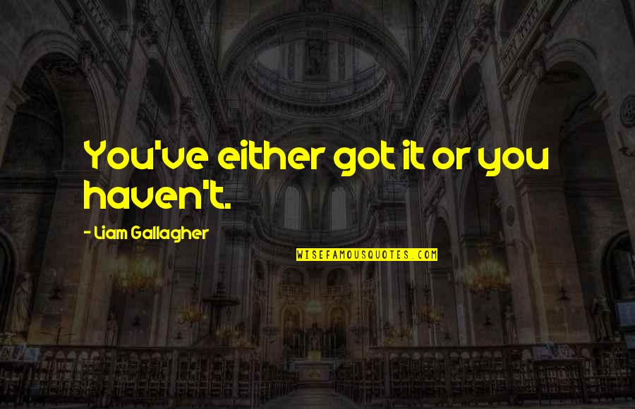 Mirirai Sithole Quotes By Liam Gallagher: You've either got it or you haven't. Mirirai Sithole Quotes By Liam Gallagher: You've either got it or you haven't.