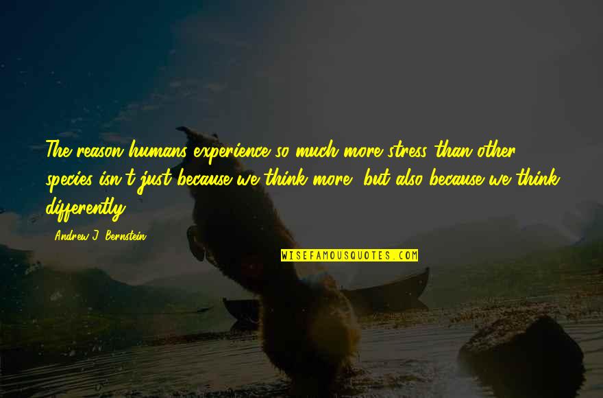 Miroslav Krleza Quotes By Andrew J. Bernstein: The reason humans experience so much more stress Miroslav Krleza Quotes By Andrew J. Bernstein: The reason humans experience so much more stress
