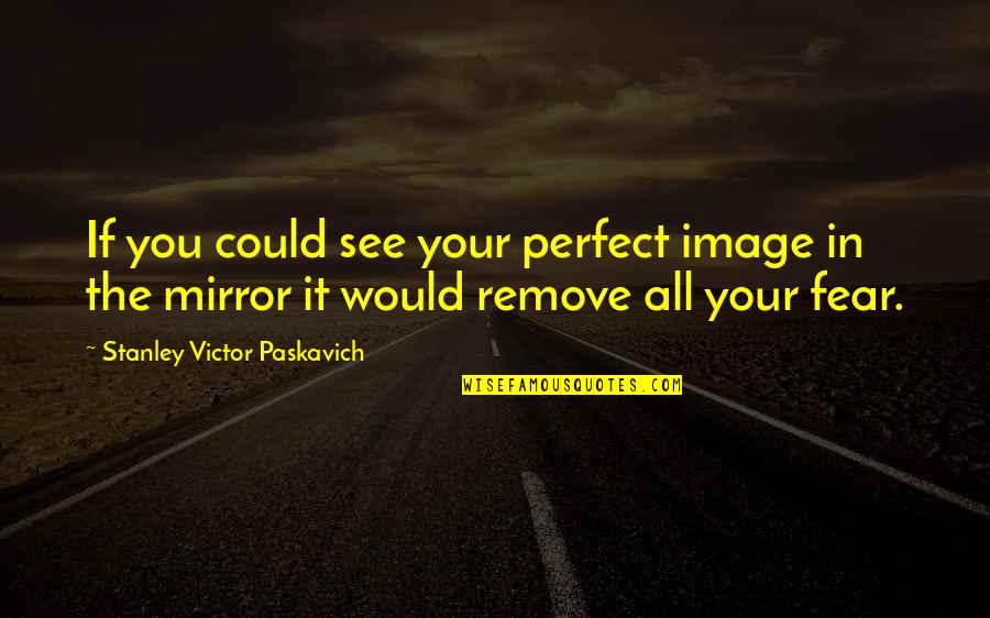 Mirror Image Quotes By Stanley Victor Paskavich: If you could see your perfect image in