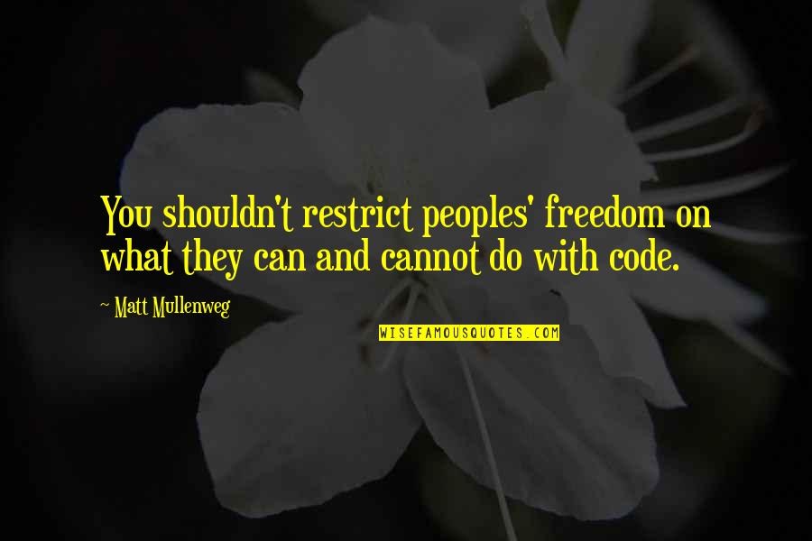 Mirror Lake Quotes By Matt Mullenweg: You shouldn't restrict peoples' freedom on what they