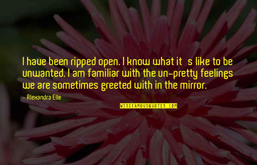 Mirror With Quotes By Alexandra Elle: I have been ripped open. I know what