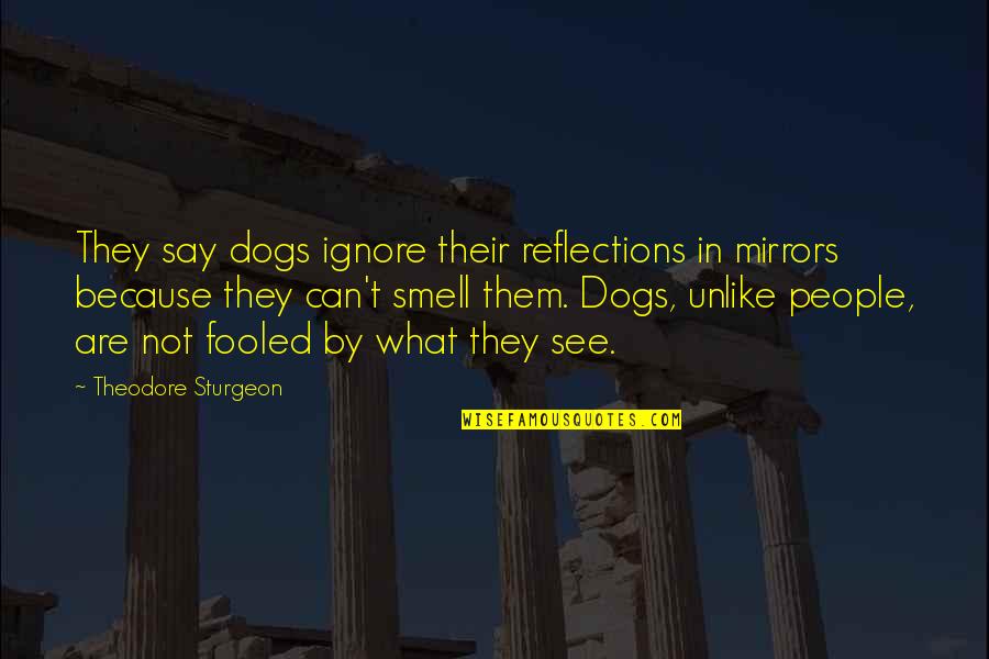 Mirrors And Reflections Quotes By Theodore Sturgeon: They say dogs ignore their reflections in mirrors
