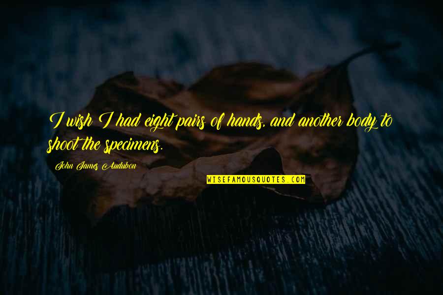 Miruna Harter Quotes By John James Audubon: I wish I had eight pairs of hands, Miruna Harter Quotes By John James Audubon: I wish I had eight pairs of hands,