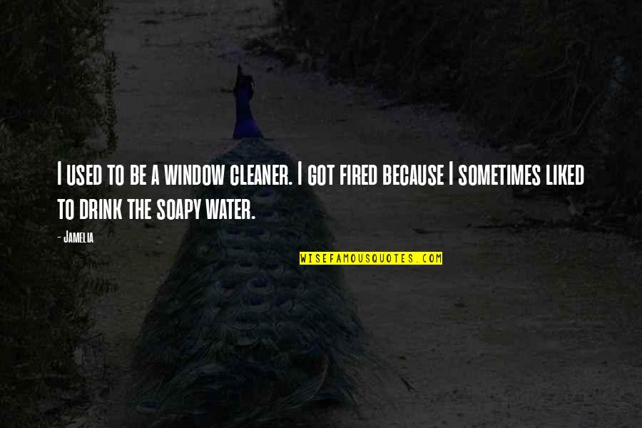 Mirvette Quotes By Jamelia: I used to be a window cleaner. I Mirvette Quotes By Jamelia: I used to be a window cleaner. I