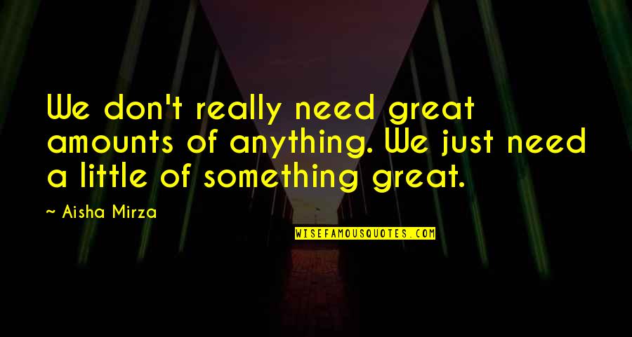 Mirza Quotes By Aisha Mirza: We don't really need great amounts of anything. Mirza Quotes By Aisha Mirza: We don't really need great amounts of anything.
