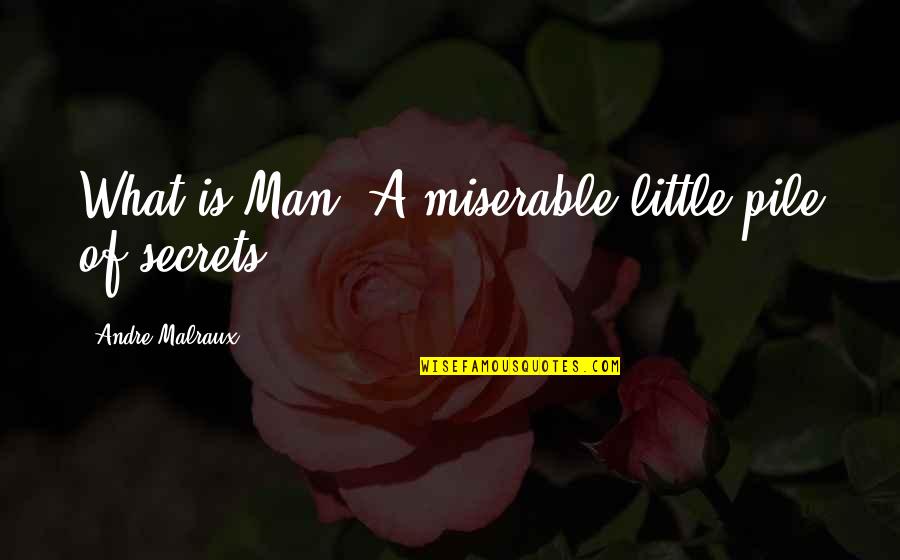 Misanthropy Quotes By Andre Malraux: What is Man? A miserable little pile of