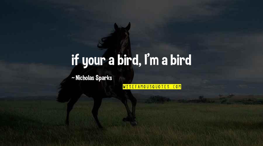 Misantropy Quotes By Nicholas Sparks: if your a bird, I'm a bird
