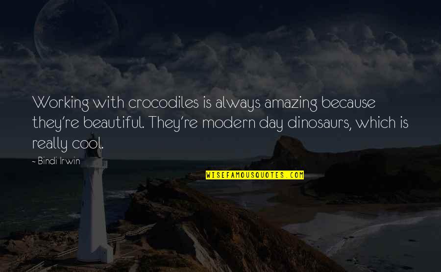 Misapplied Law Quotes By Bindi Irwin: Working with crocodiles is always amazing because they're