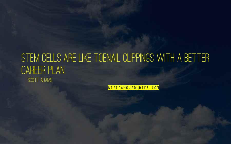 Misato Shimizu Quotes By Scott Adams: Stem cells are like toenail clippings with a