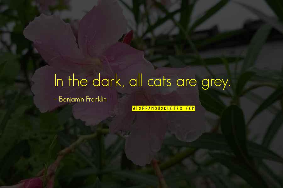 Misbegotten Quotes By Benjamin Franklin: In the dark, all cats are grey.