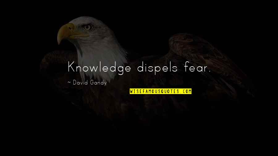 Misbegotten Synonyms Quotes By David Gandy: Knowledge dispels fear.