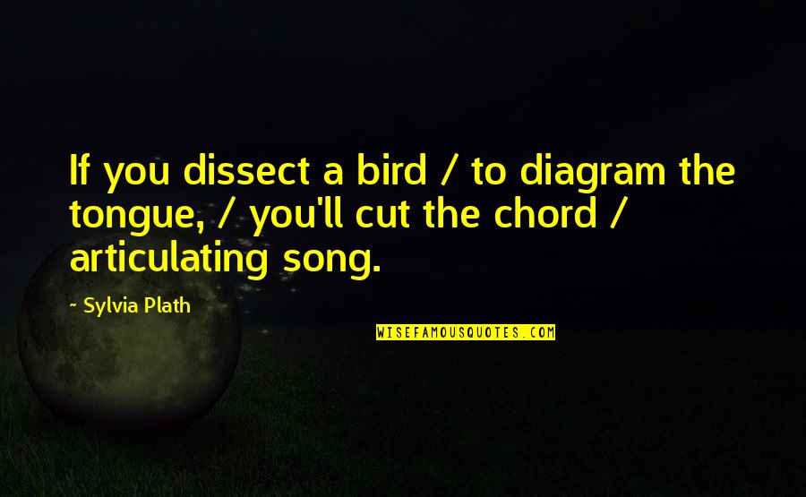 Mischa Lecter Quotes By Sylvia Plath: If you dissect a bird / to diagram