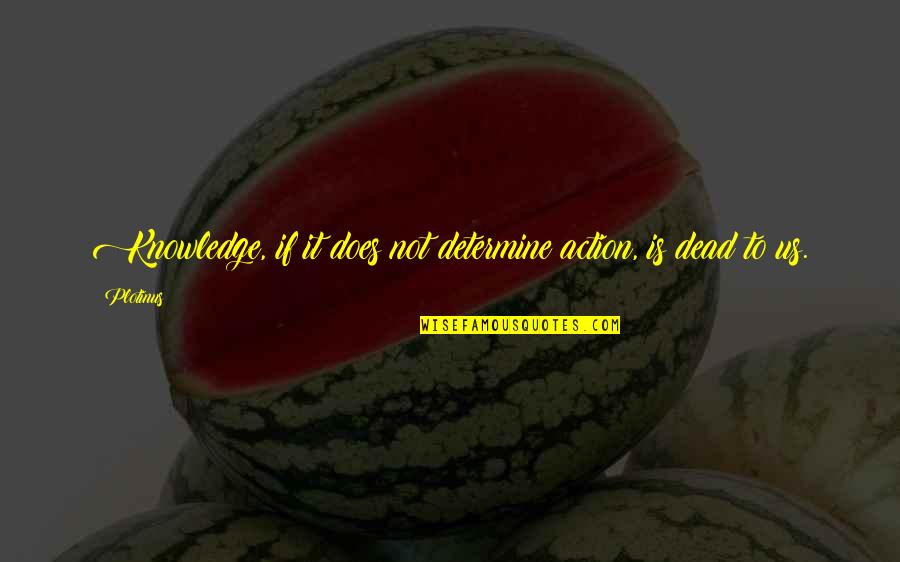 Mischievously Smile Quotes By Plotinus: Knowledge, if it does not determine action, is