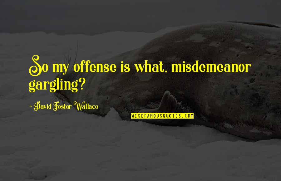 Misdemeanor Quotes By David Foster Wallace: So my offense is what, misdemeanor gargling?