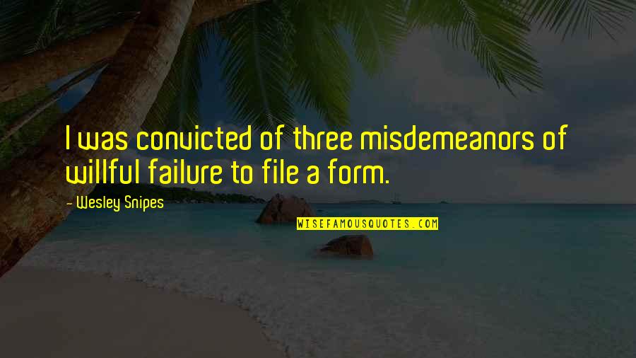 Misdemeanors Quotes By Wesley Snipes: I was convicted of three misdemeanors of willful