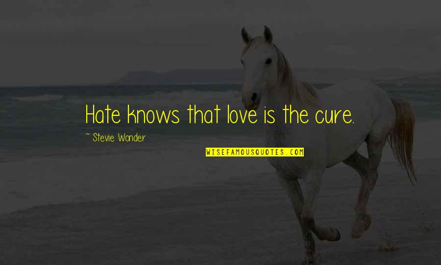 Miserable Feelings Quotes By Stevie Wonder: Hate knows that love is the cure. Miserable Feelings Quotes By Stevie Wonder: Hate knows that love is the cure.