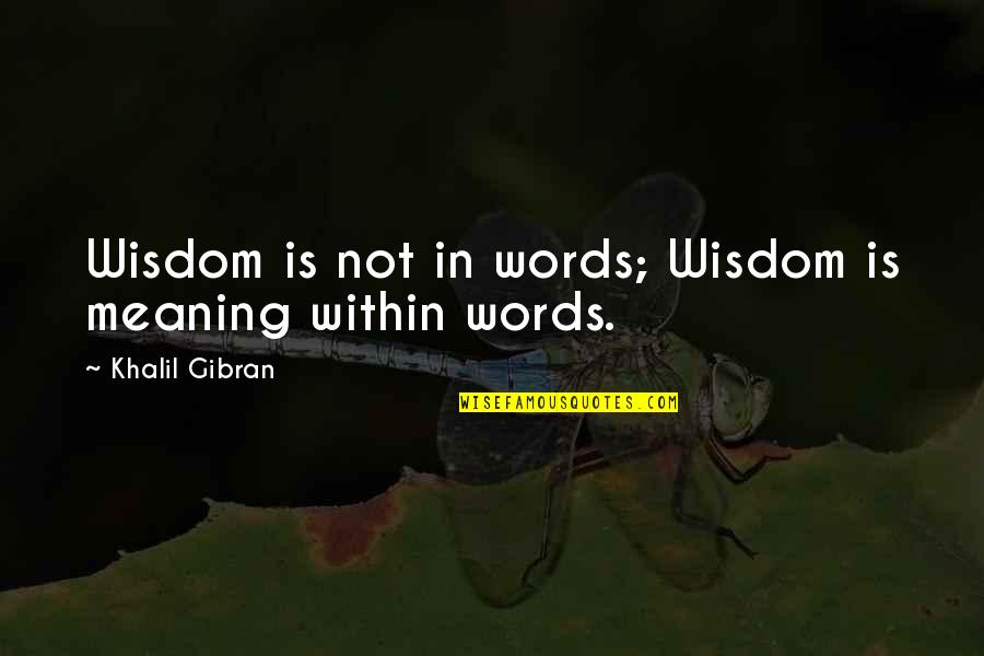 Misery Loves Company Picture Quotes By Khalil Gibran: Wisdom is not in words; Wisdom is meaning