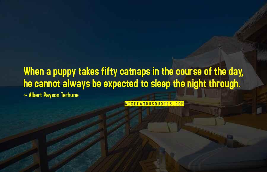 Misfortune And Opportunity Quotes By Albert Payson Terhune: When a puppy takes fifty catnaps in the Misfortune And Opportunity Quotes By Albert Payson Terhune: When a puppy takes fifty catnaps in the