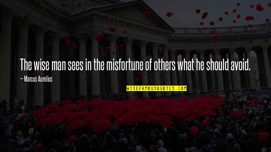 Misfortune Of Others Quotes By Marcus Aurelius: The wise man sees in the misfortune of