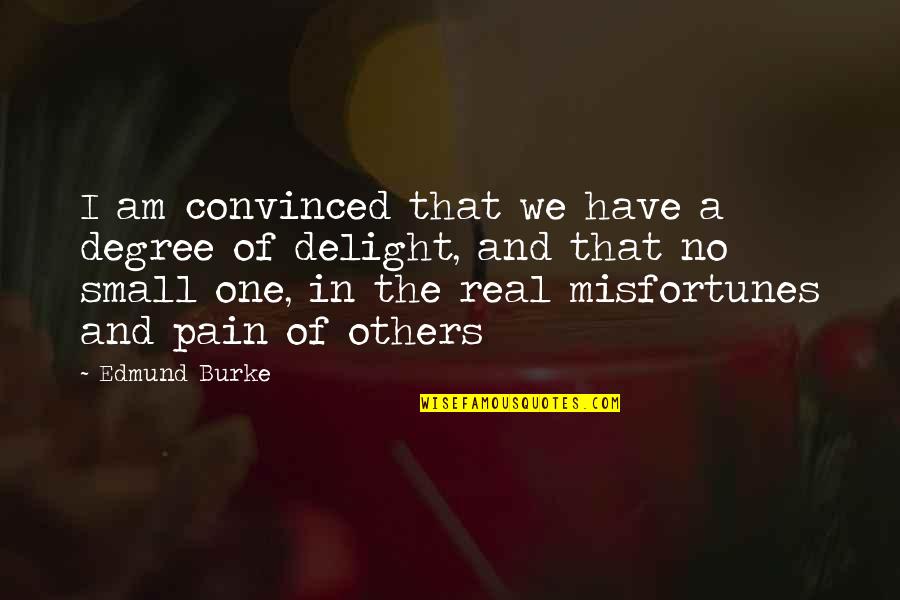 Misfortunes Of Others Quotes By Edmund Burke: I am convinced that we have a degree