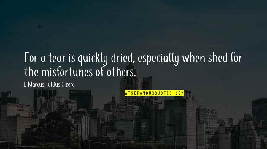 Misfortunes Of Others Quotes By Marcus Tullius Cicero: For a tear is quickly dried, especially when