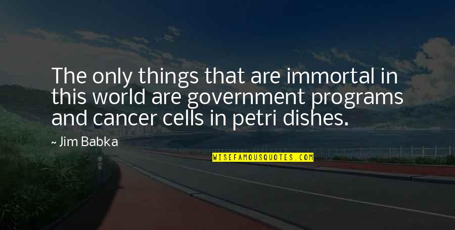 Mishalisa Quotes By Jim Babka: The only things that are immortal in this Mishalisa Quotes By Jim Babka: The only things that are immortal in this