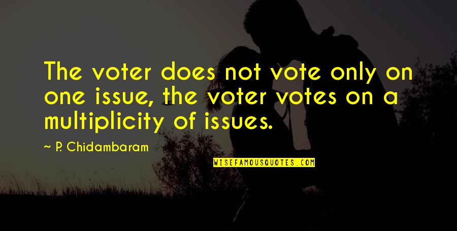 Mishaps In Life Quotes By P. Chidambaram: The voter does not vote only on one