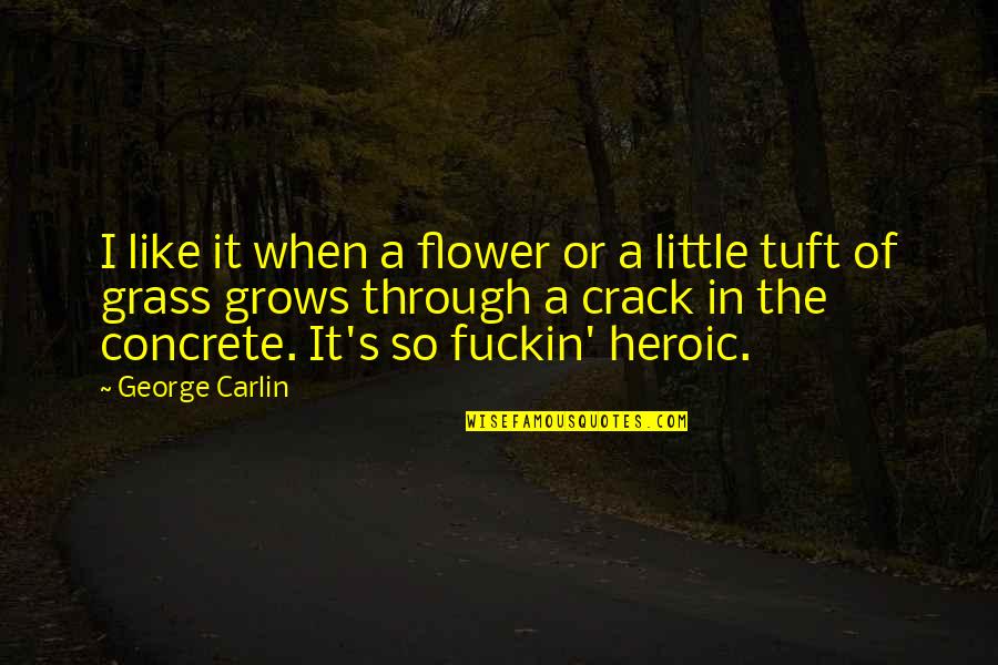 Misheel Toli Quotes By George Carlin: I like it when a flower or a Misheel Toli Quotes By George Carlin: I like it when a flower or a