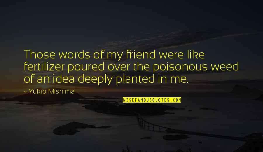 Mishima Quotes By Yukio Mishima: Those words of my friend were like fertilizer